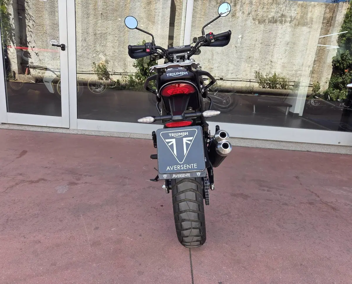 Triumph Scrambler 400 X (2024 - 26) (11)