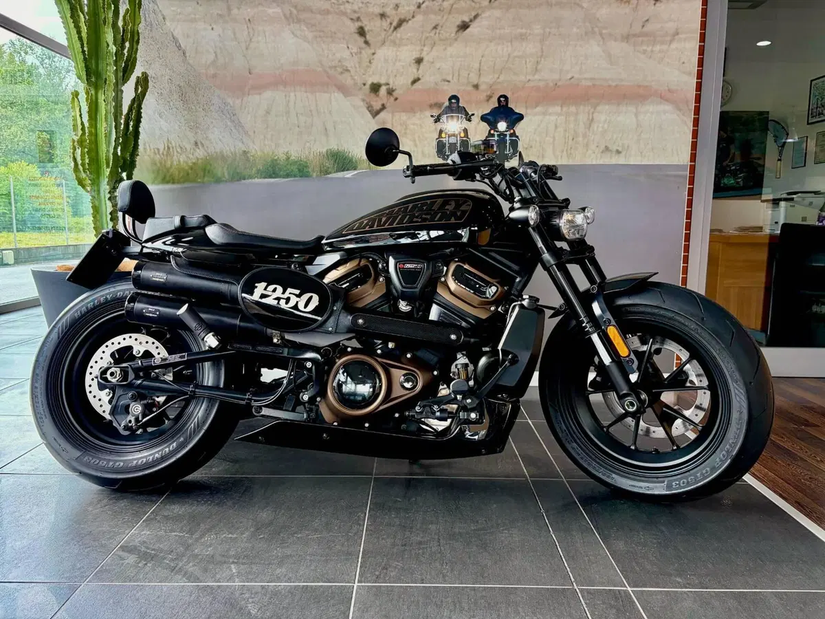 Harley-Davidson Sportster S (2022 - 24)