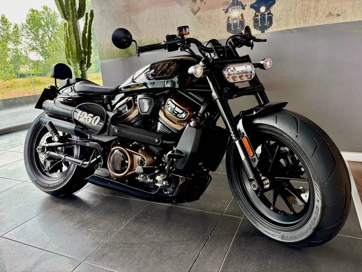 Harley-Davidson Sportster S (2022 - 24) (2)