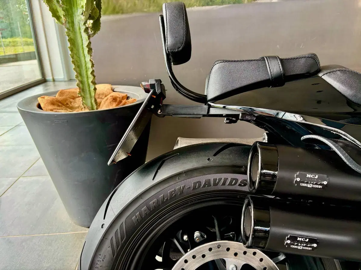 Harley-Davidson Sportster S (2022 - 24) (3)