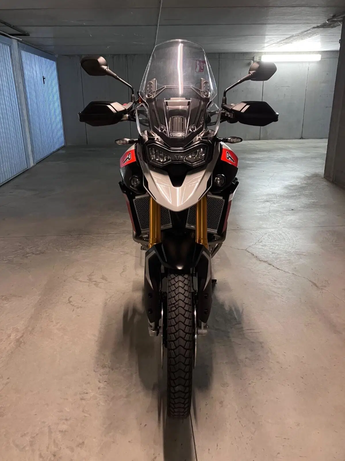 Triumph Tiger 900 Rally Pro (2024 - 26) (4)