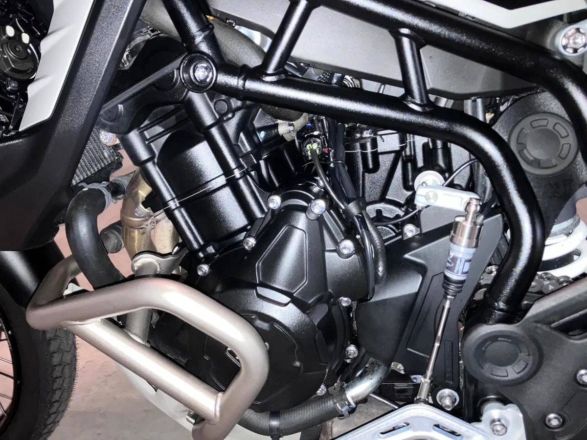 Triumph Tiger 900 Rally Pro (2024 - 26) (12)