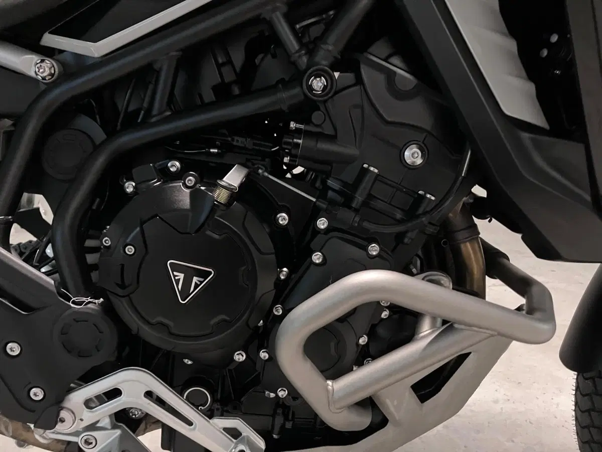 Triumph Tiger 900 Rally Pro (2024 - 26) (13)