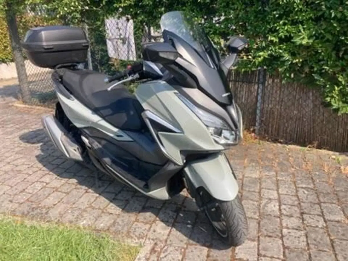 Honda Forza 350 (2022 - 24) (2)