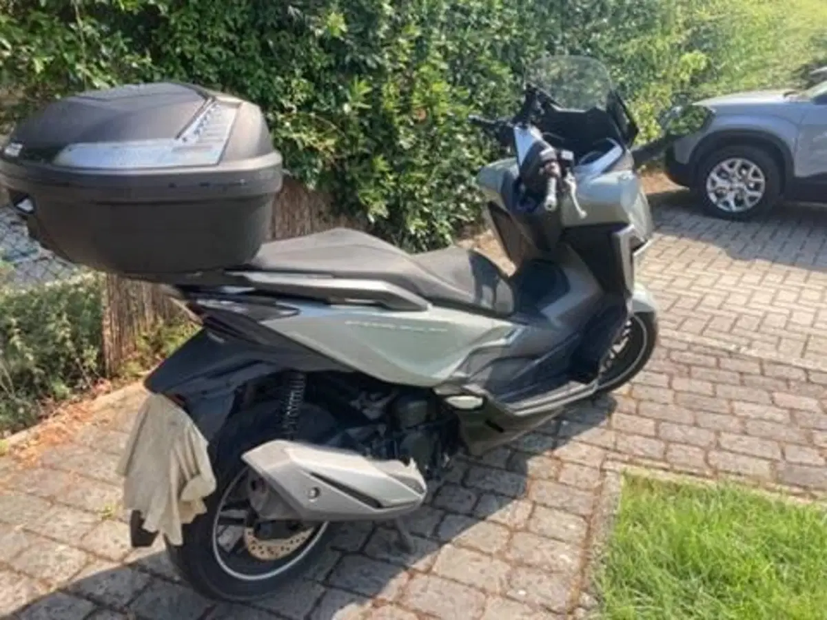 Honda Forza 350 (2022 - 24) (3)