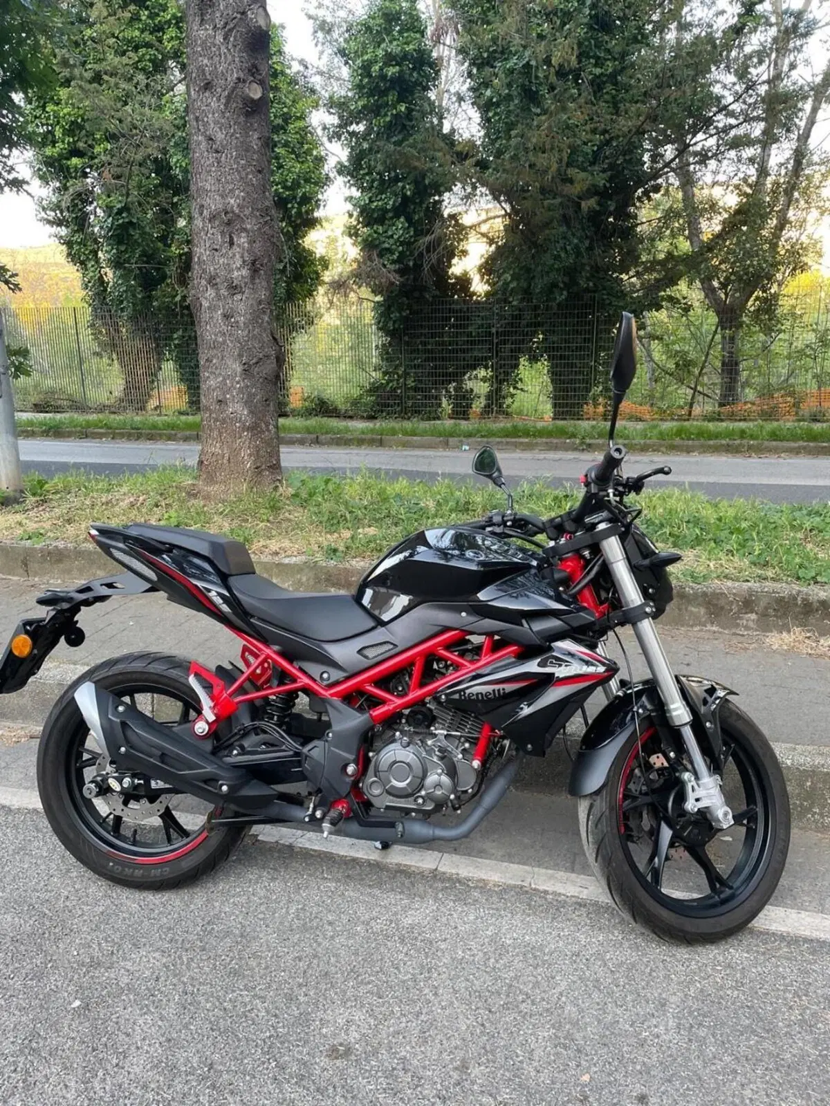 Benelli BN 125 (2021 - 25) (3)