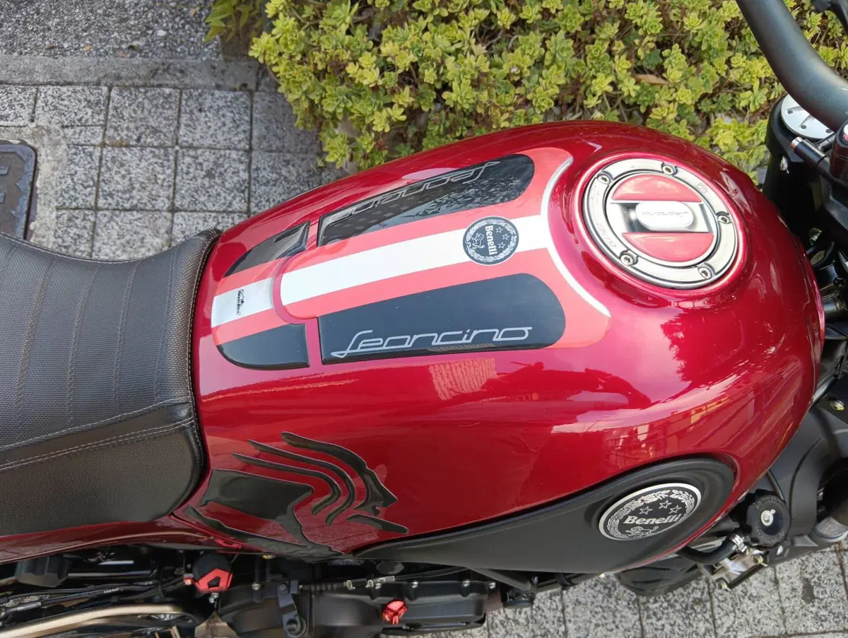Benelli Leoncino 500 ABS (2017 - 20) (3)
