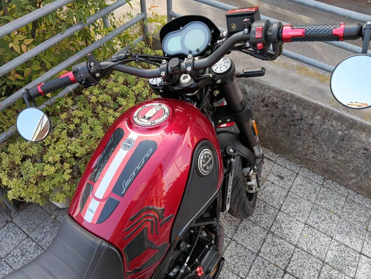 Benelli Leoncino 500 ABS (2017 - 20) (2)