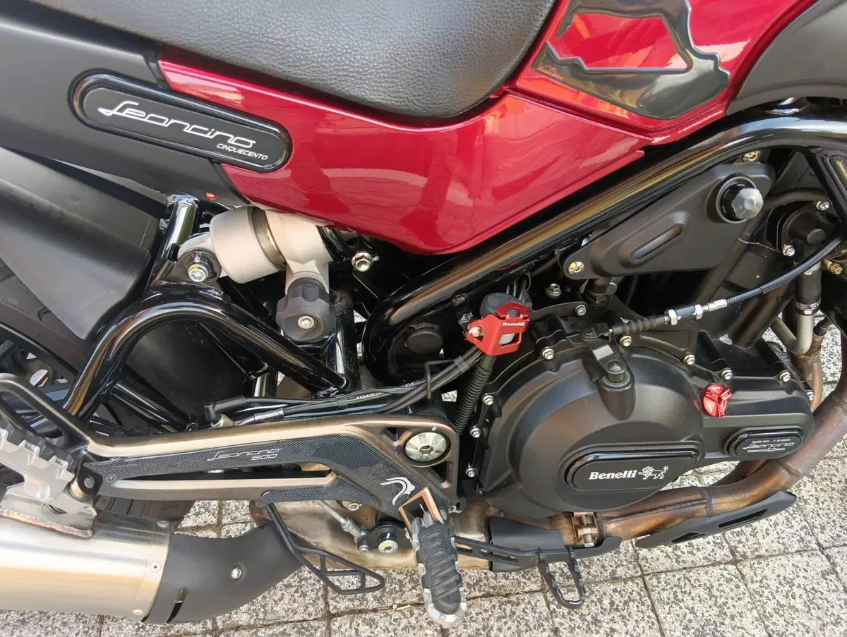 Benelli Leoncino 500 ABS (2017 - 20) (6)