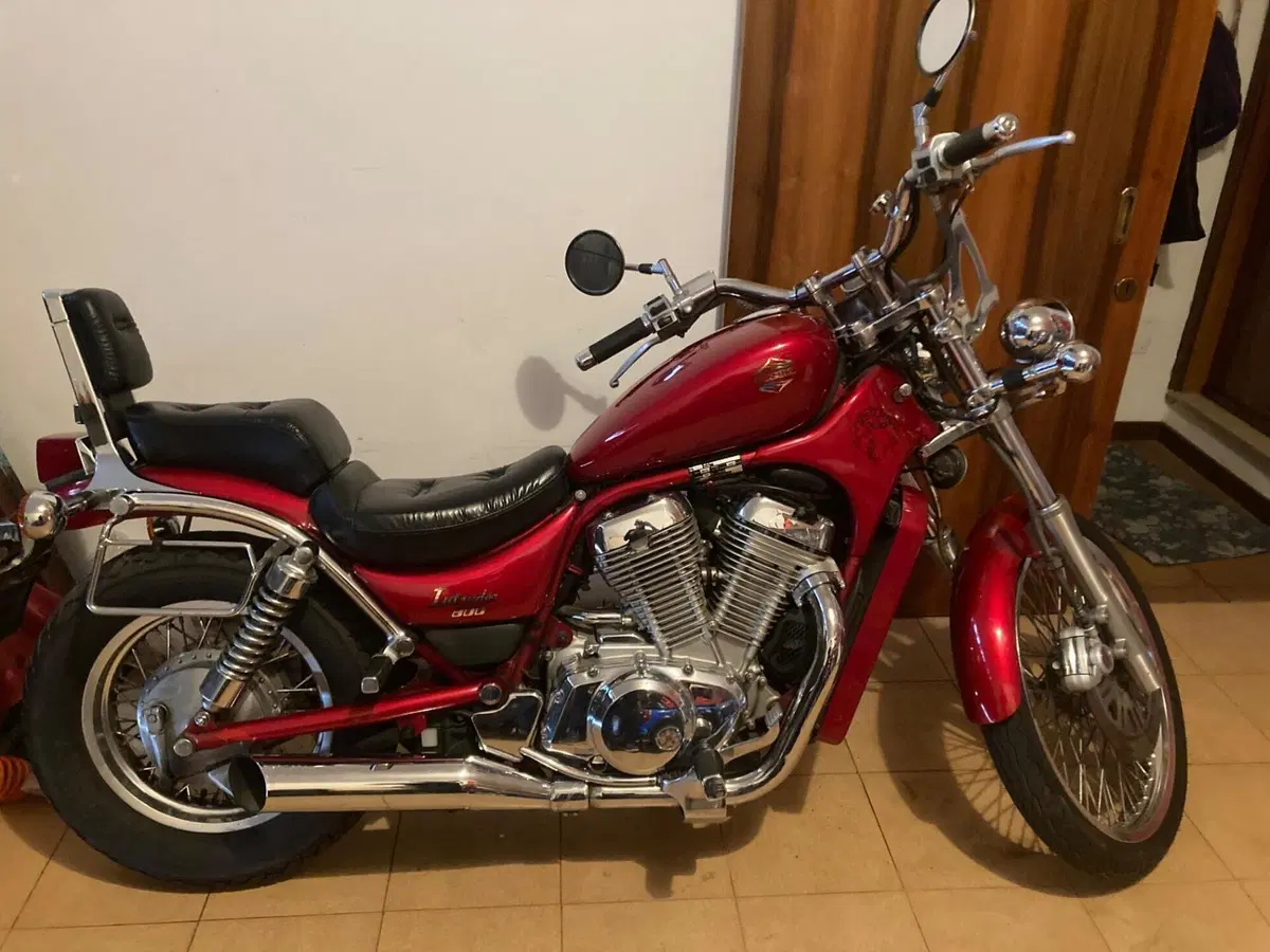 Suzuki INTRUDER VS800 (3)