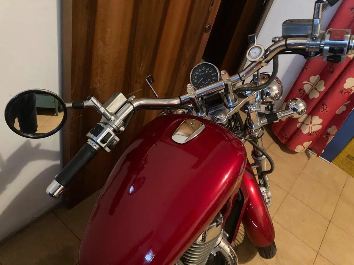 Suzuki INTRUDER VS800 (6)