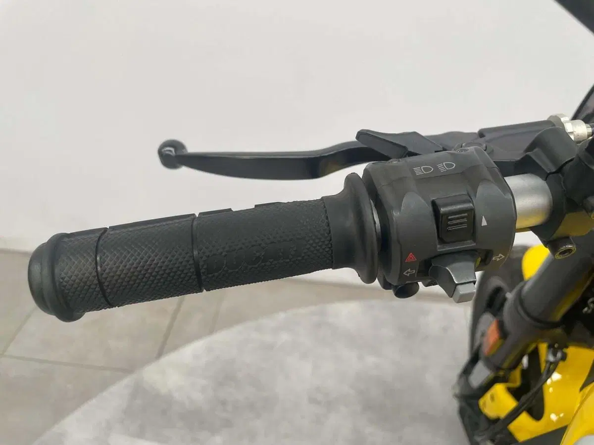 Ducati Scrambler 800 Classic (2017 - 18) (11)