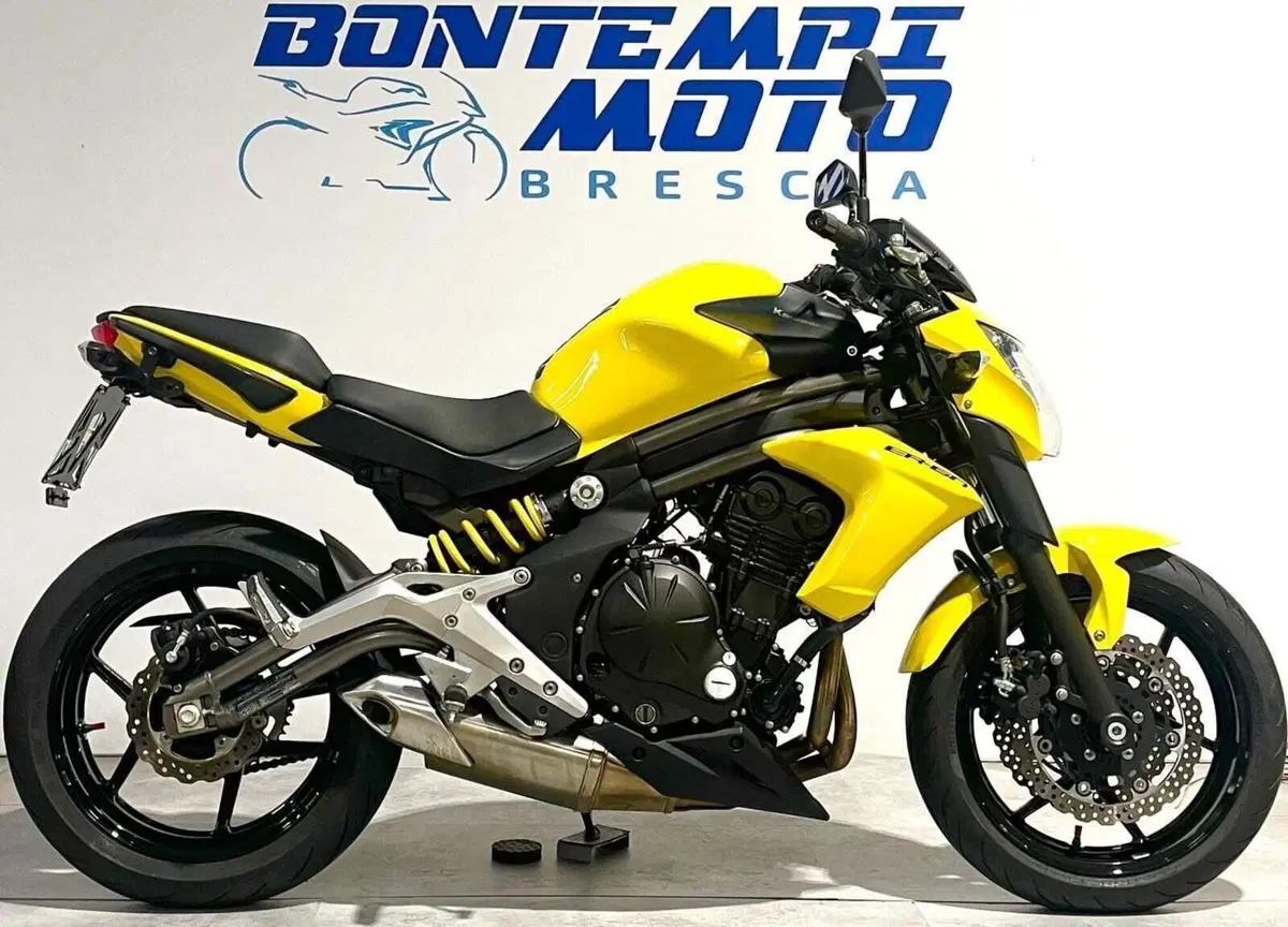 Kawasaki ER-6N (2012 - 13)