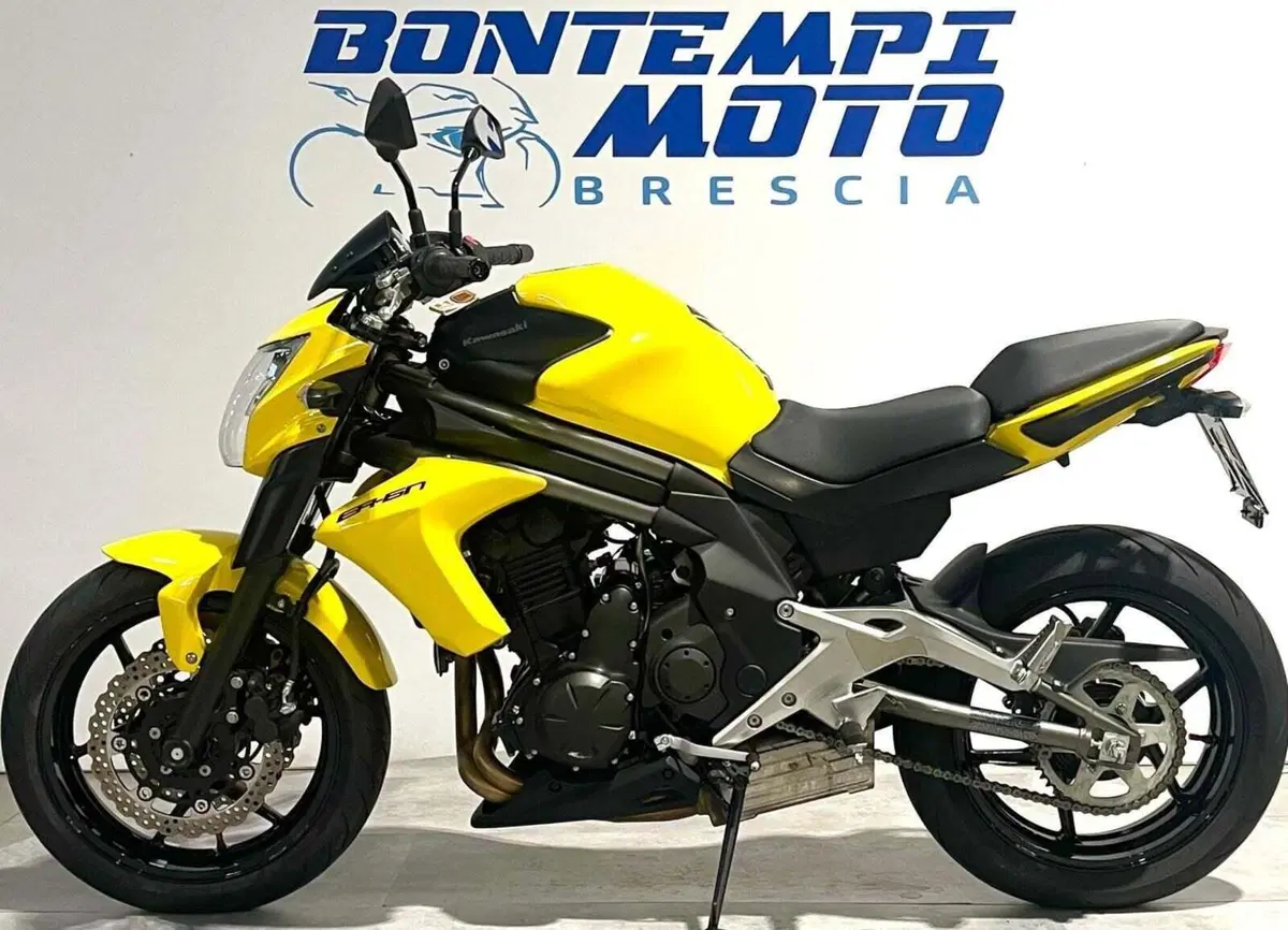 Kawasaki ER-6N (2012 - 13) (2)