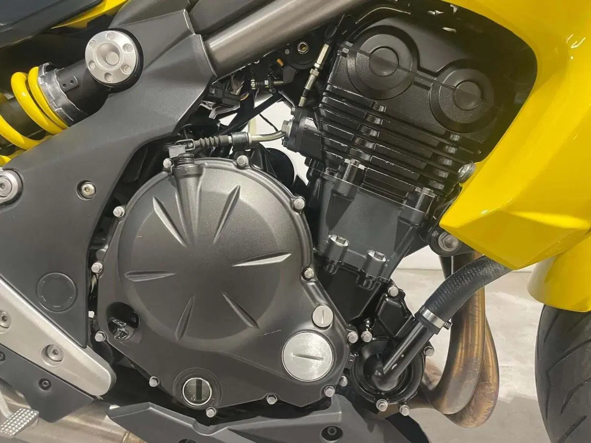 Kawasaki ER-6N (2012 - 13) (4)
