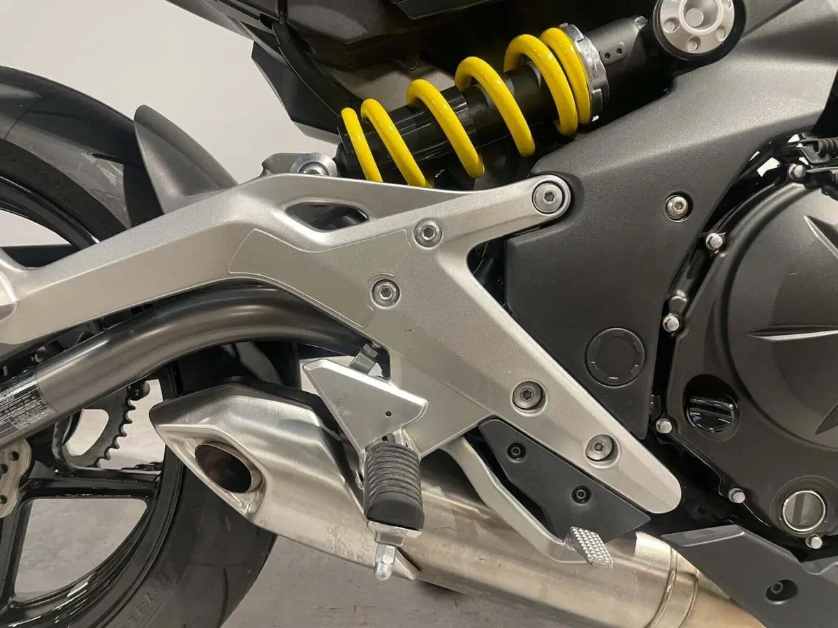 Kawasaki ER-6N (2012 - 13) (6)