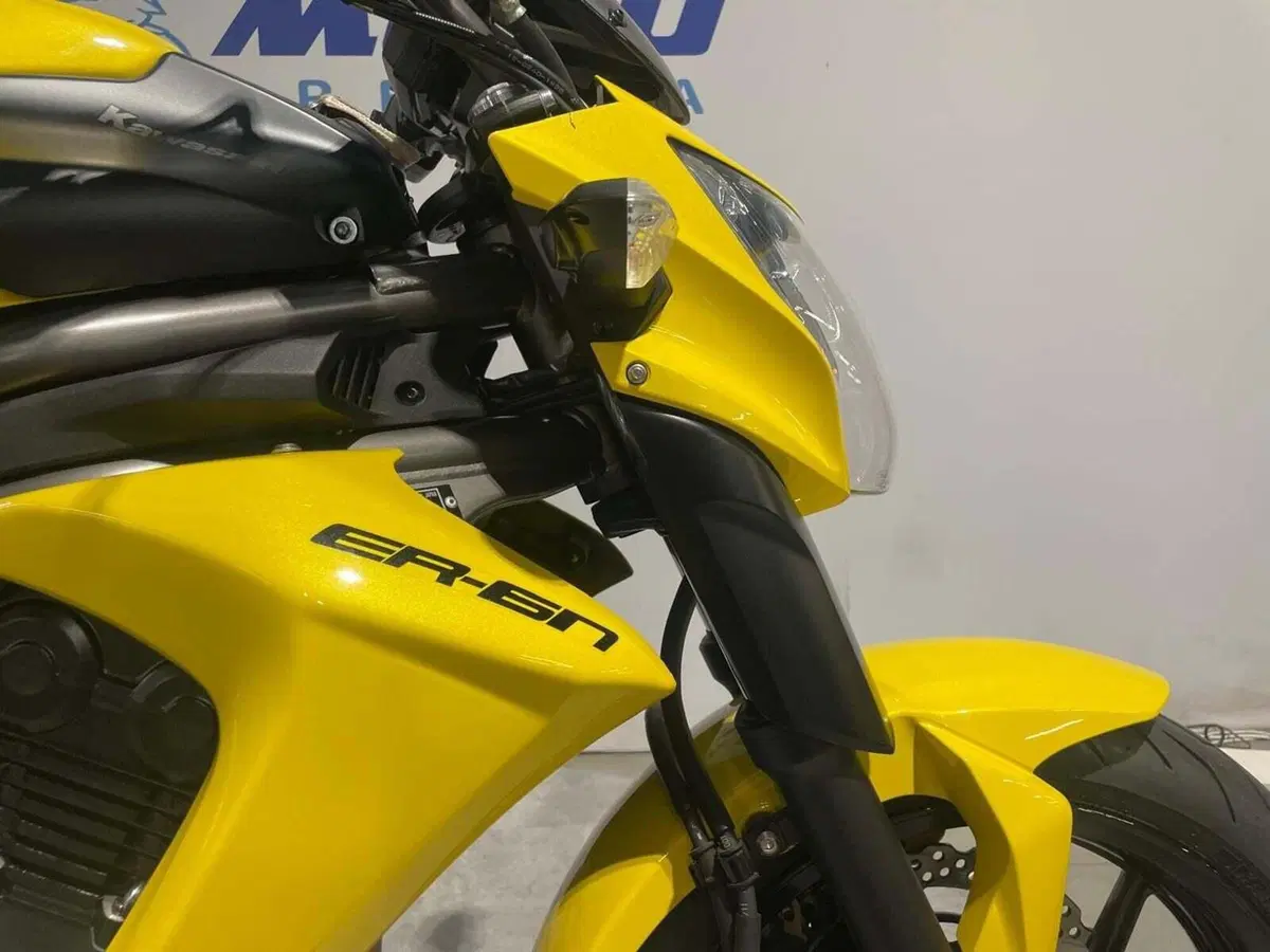 Kawasaki ER-6N (2012 - 13) (8)