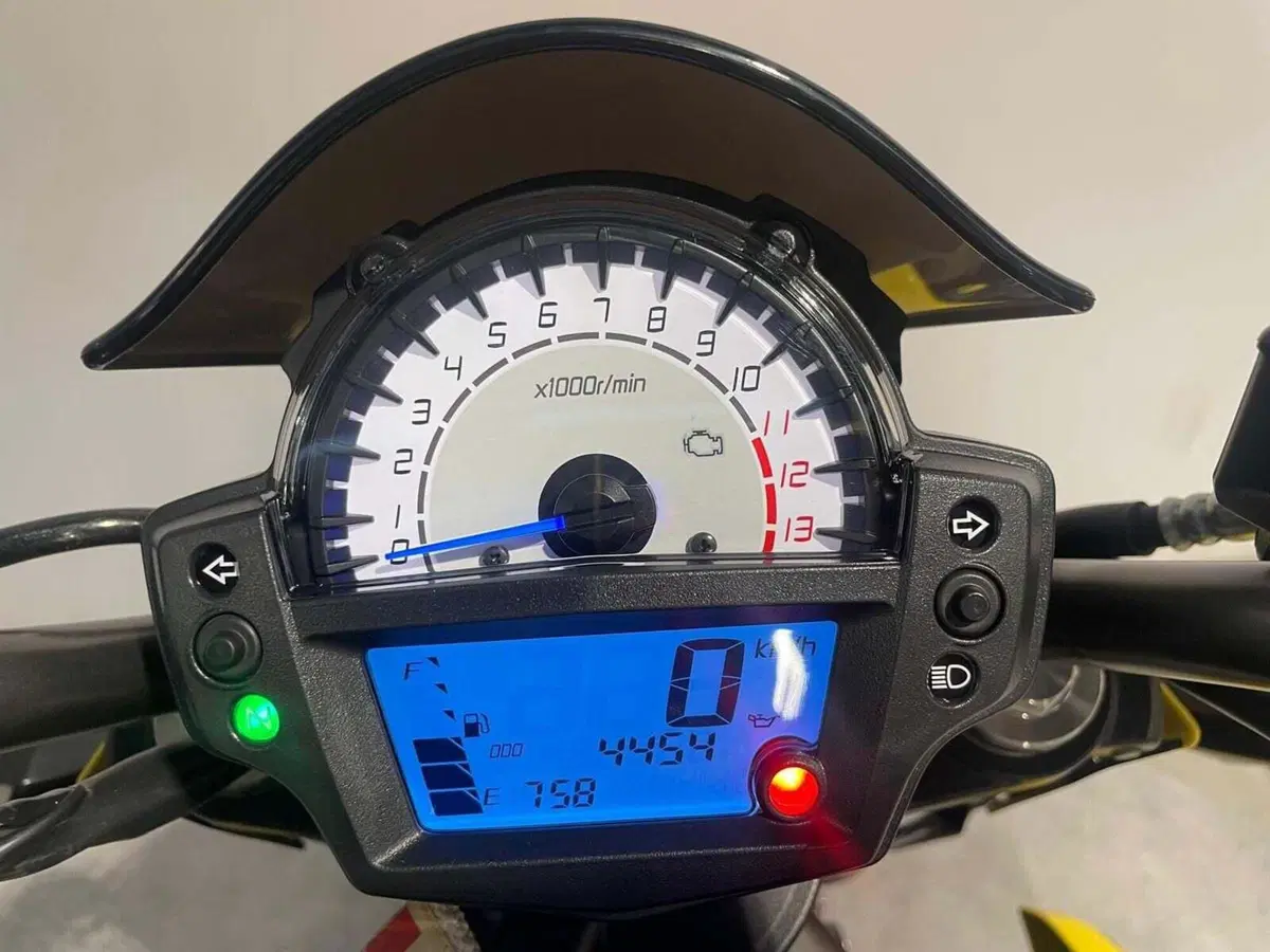 Kawasaki ER-6N (2012 - 13) (12)