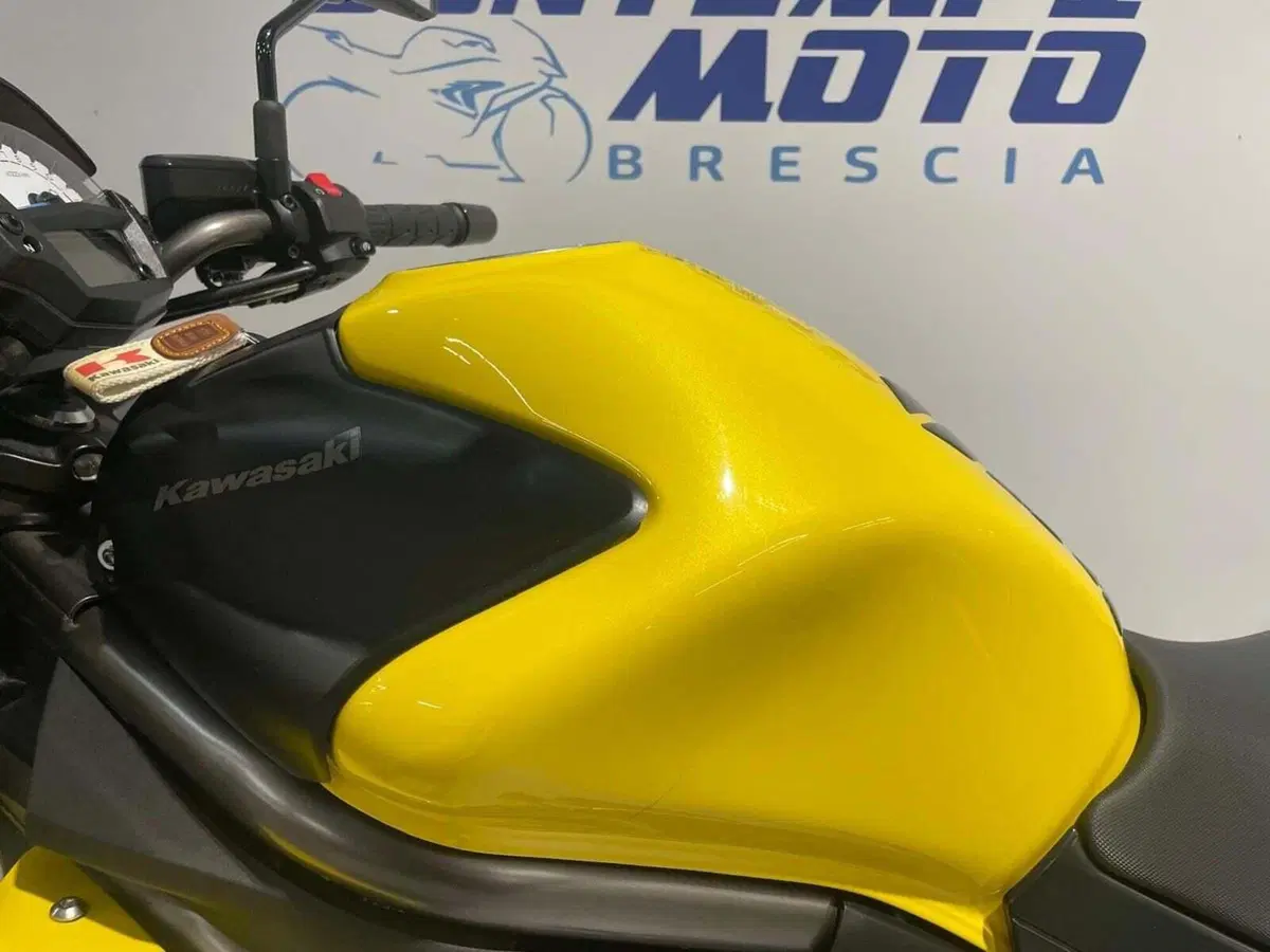 Kawasaki ER-6N (2012 - 13) (13)