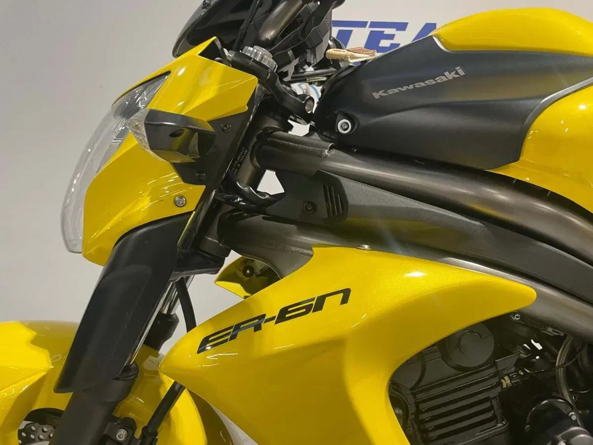 Kawasaki ER-6N (2012 - 13) (14)