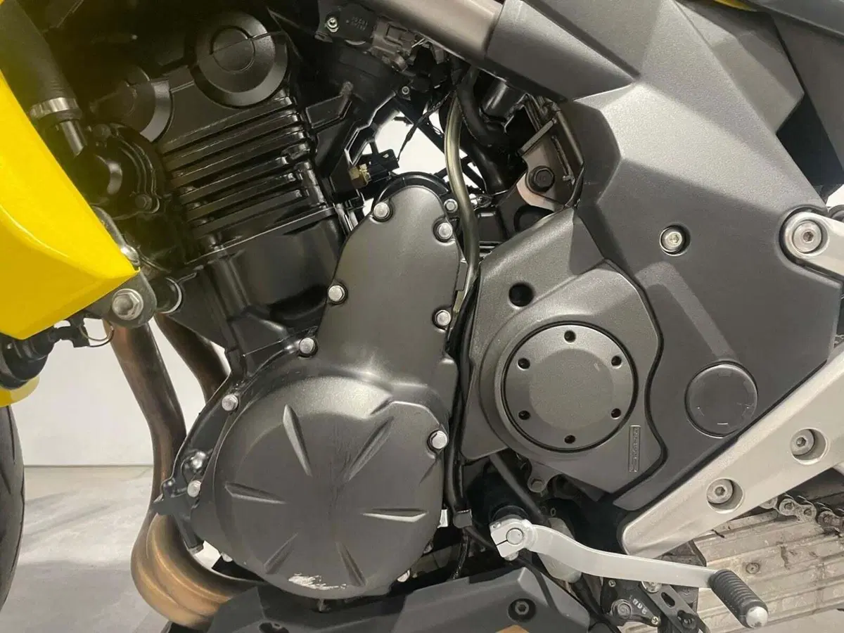 Kawasaki ER-6N (2012 - 13) (17)