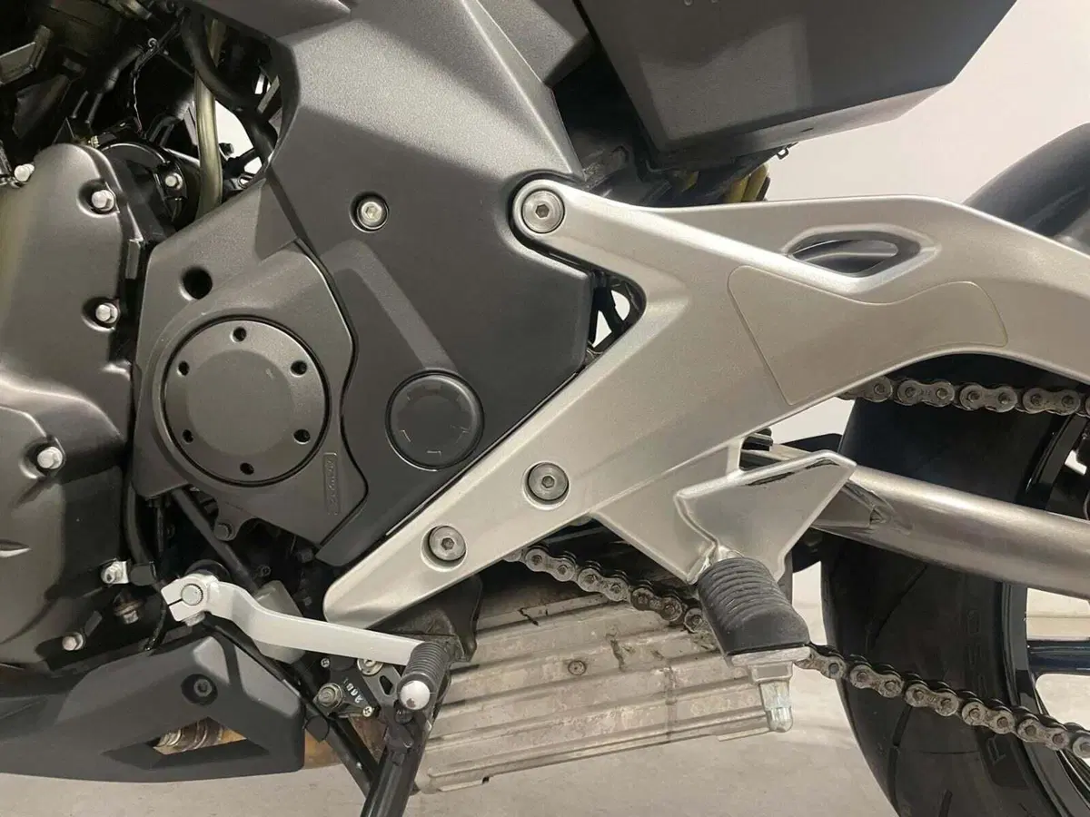 Kawasaki ER-6N (2012 - 13) (20)