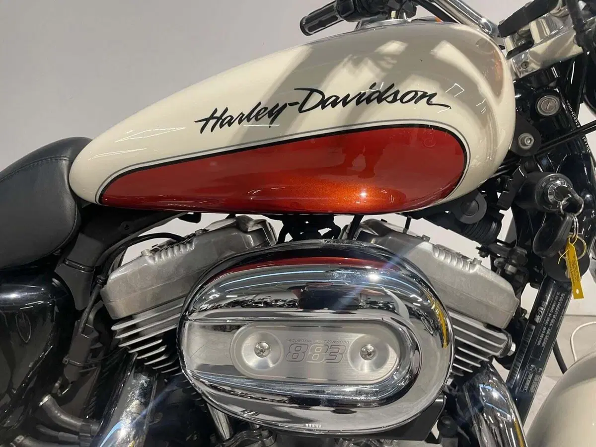 Harley-Davidson 883 Low (2008 - 12) - XL 883L (3)
