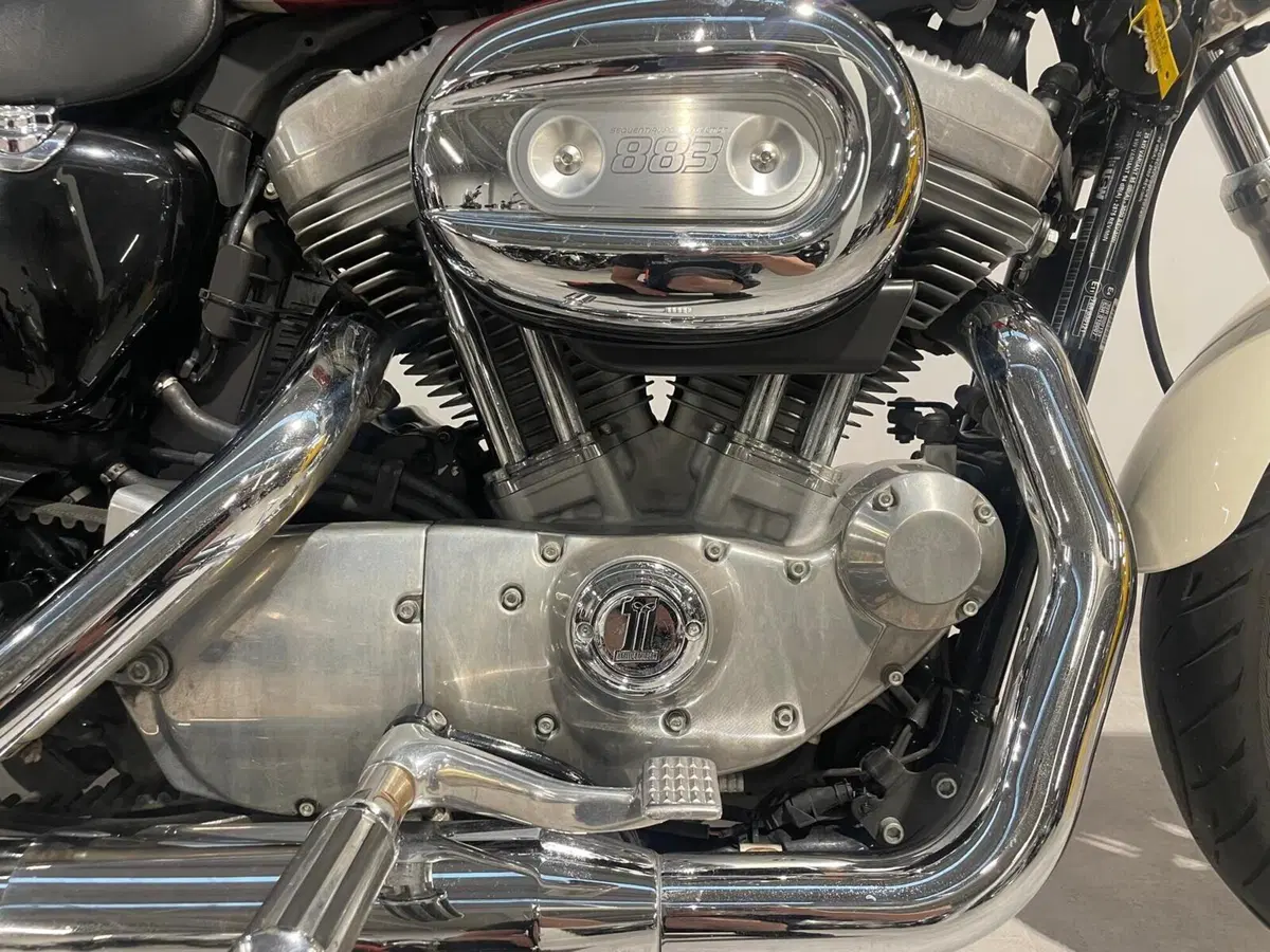 Harley-Davidson 883 Low (2008 - 12) - XL 883L (4)