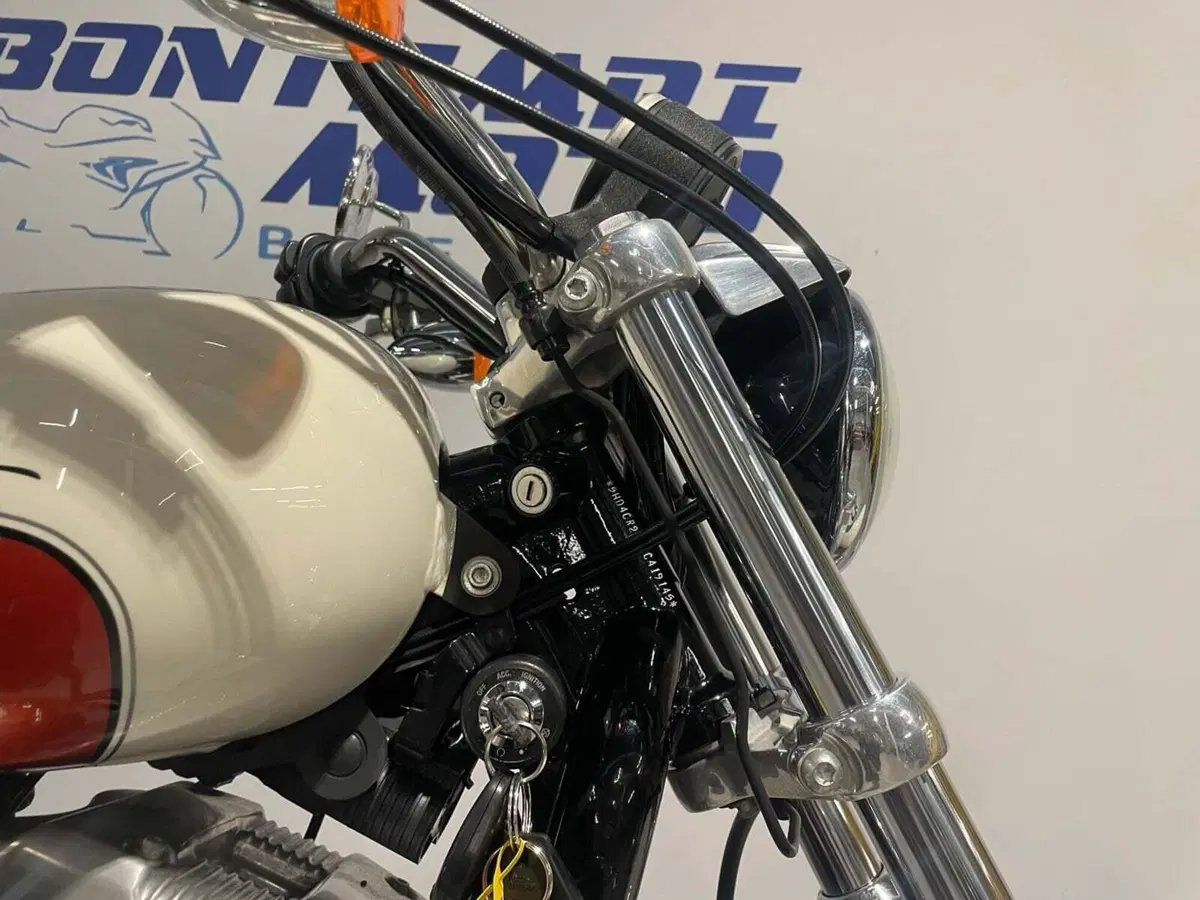Harley-Davidson 883 Low (2008 - 12) - XL 883L (7)