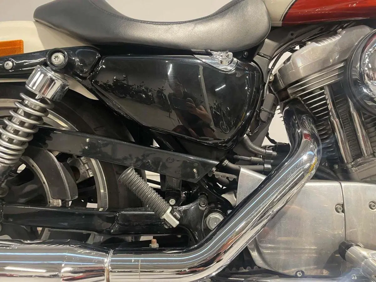 Harley-Davidson 883 Low (2008 - 12) - XL 883L (11)