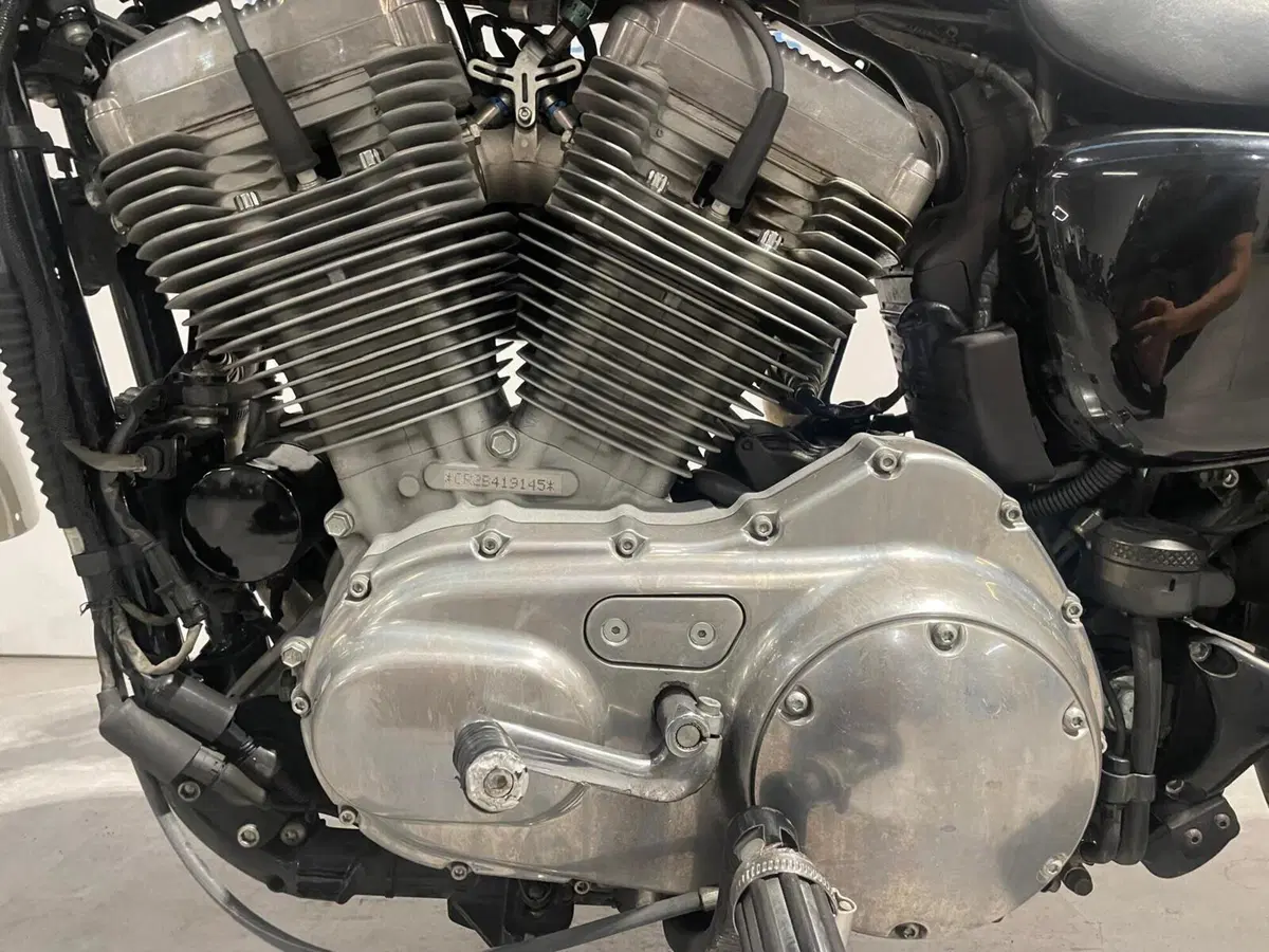 Harley-Davidson 883 Low (2008 - 12) - XL 883L (15)