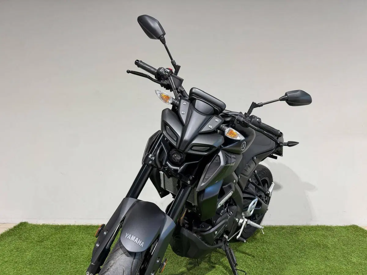 Yamaha MT-125 (2021 - 24) (2)