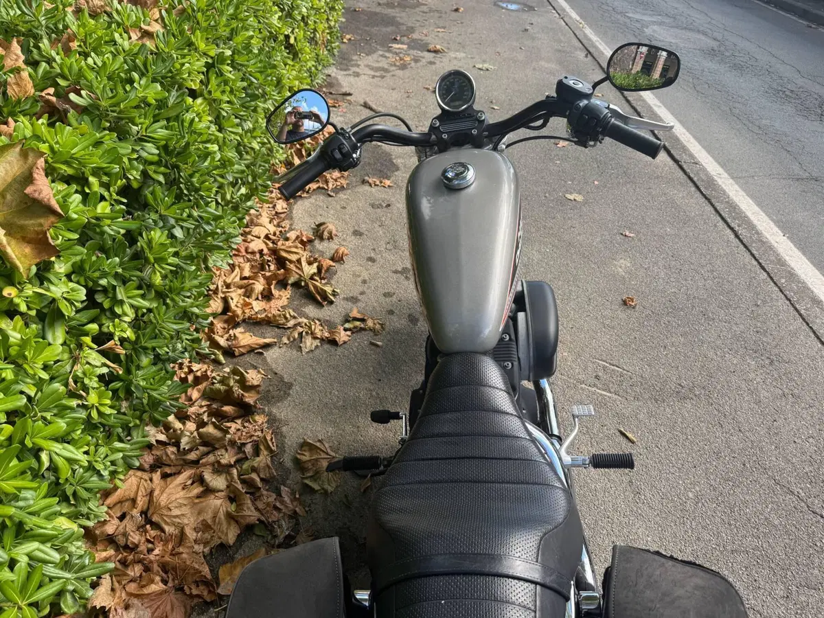 Harley-Davidson 883 R (2006 - 07) - XL 883R (5)