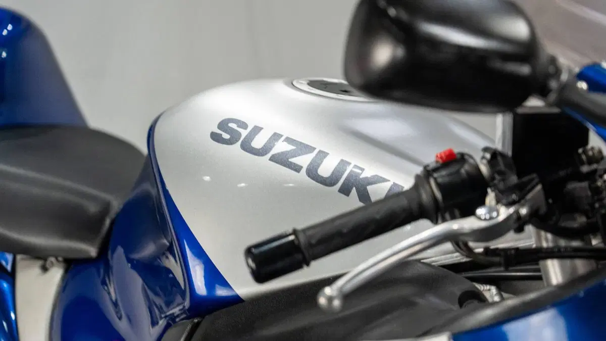 Suzuki GSX 1300 R Hayabusa (1999 - 06) (15)