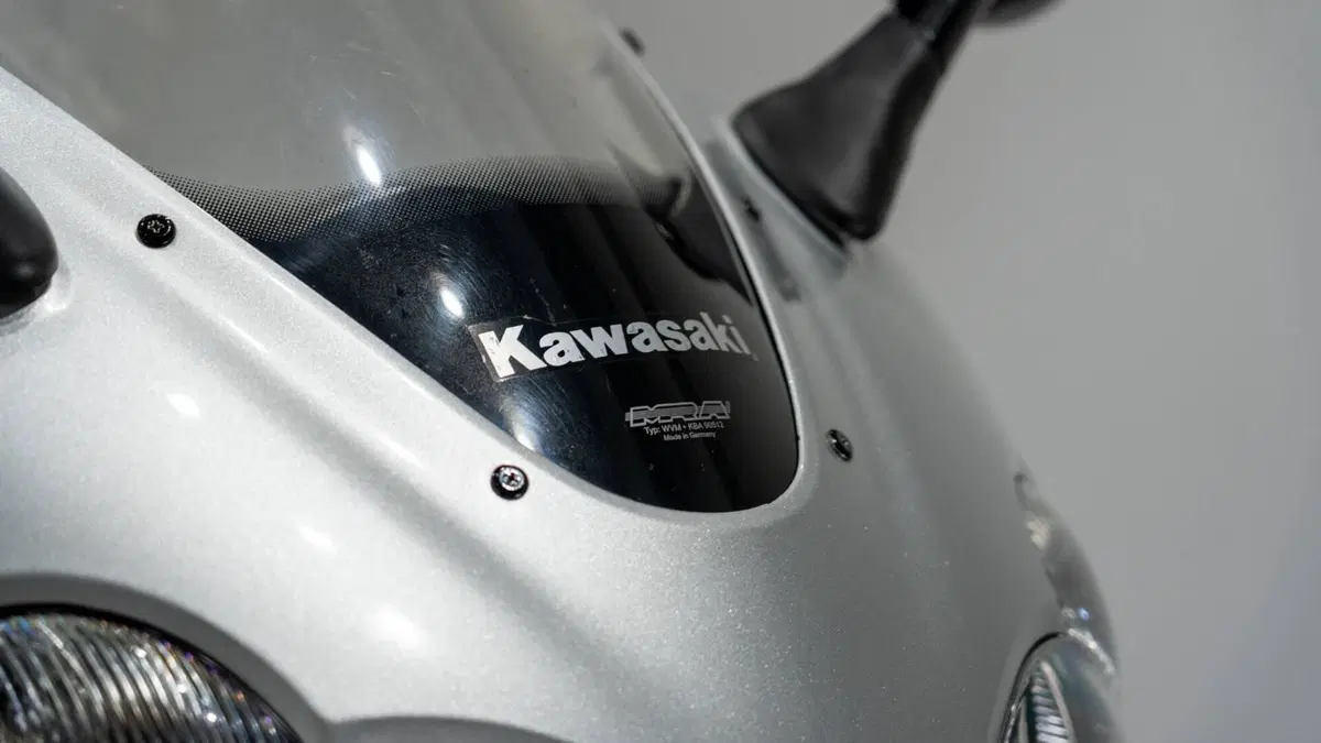 Kawasaki ZZR 1200 (2002 - 05) (16)