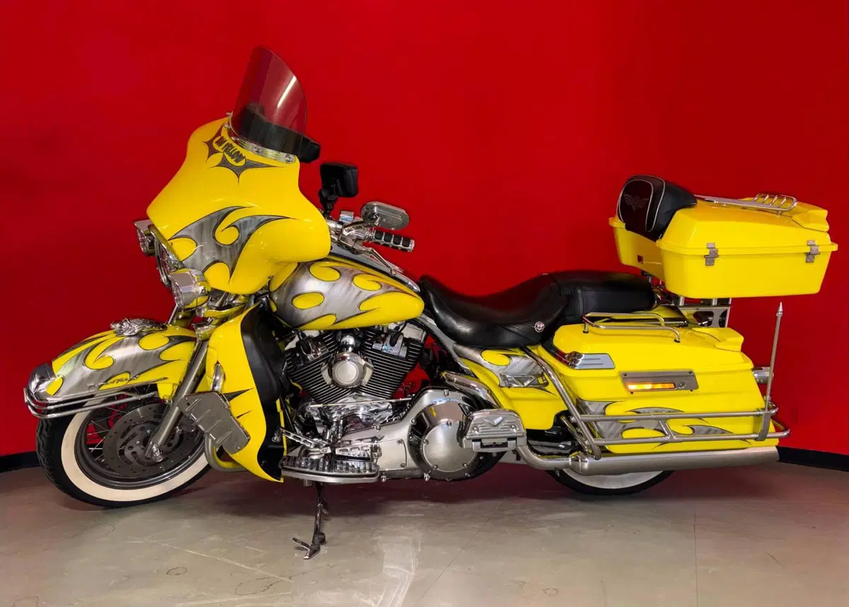Harley-Davidson 1450 Electra Glide Standard (1999 - 05) - FLHTI (3)
