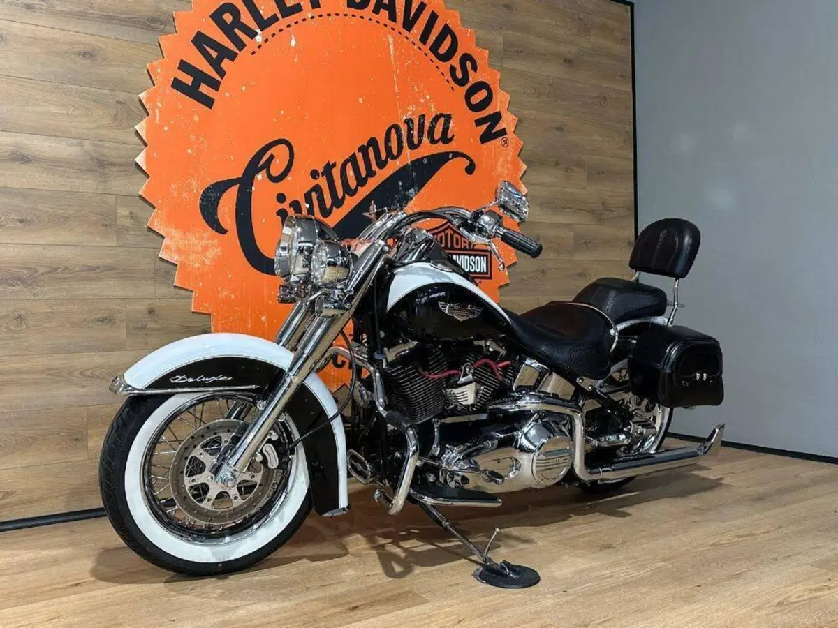 Harley-Davidson 1450 Deluxe (2005 - 06) - FLSTNI (7)