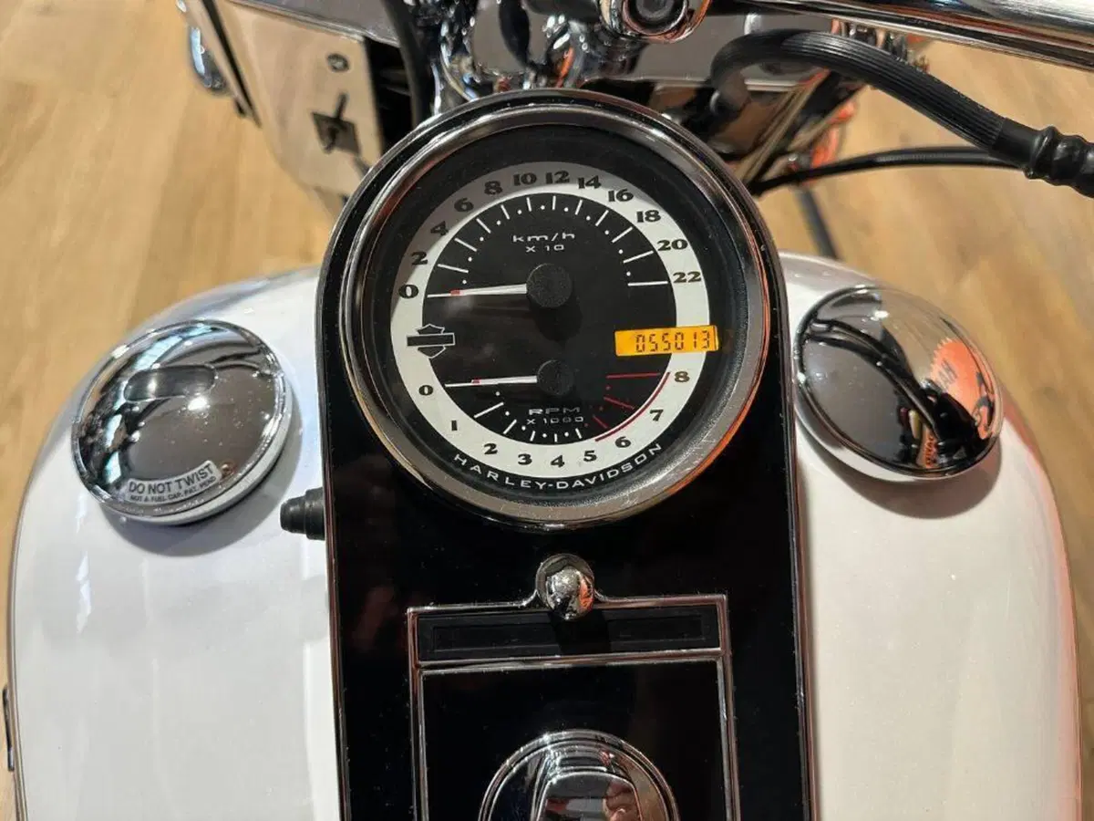Harley-Davidson 1450 Deluxe (2005 - 06) - FLSTNI (15)