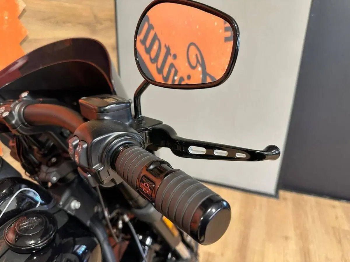 Harley-Davidson 114 Fat Bob (2018 - 20) - FXFBS (7)