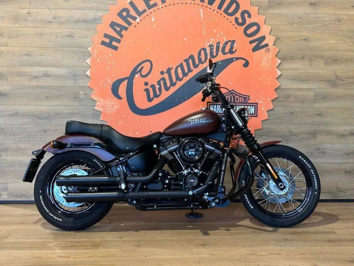 Harley-Davidson 107 Street Bob (2018 - 20) - FXBB (2)