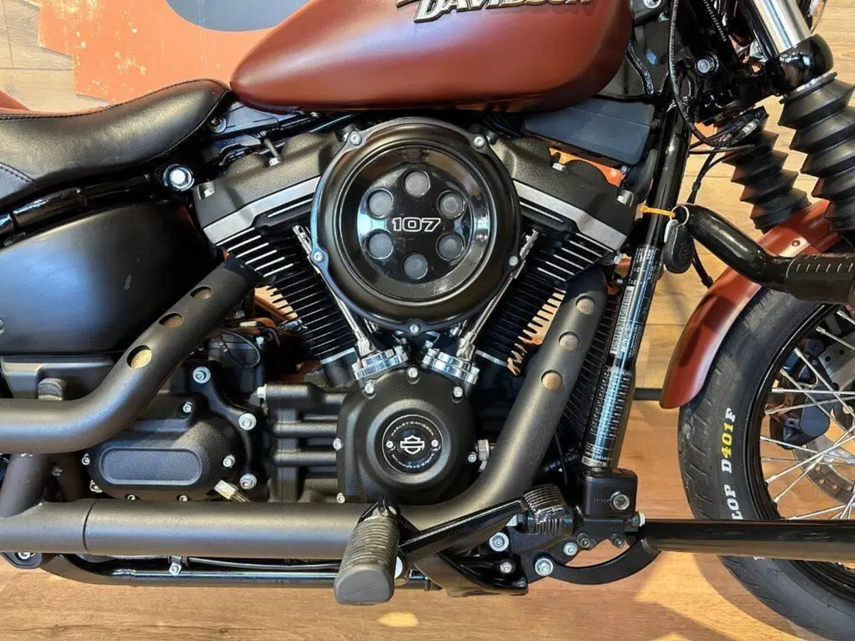 Harley-Davidson 107 Street Bob (2018 - 20) - FXBB (5)
