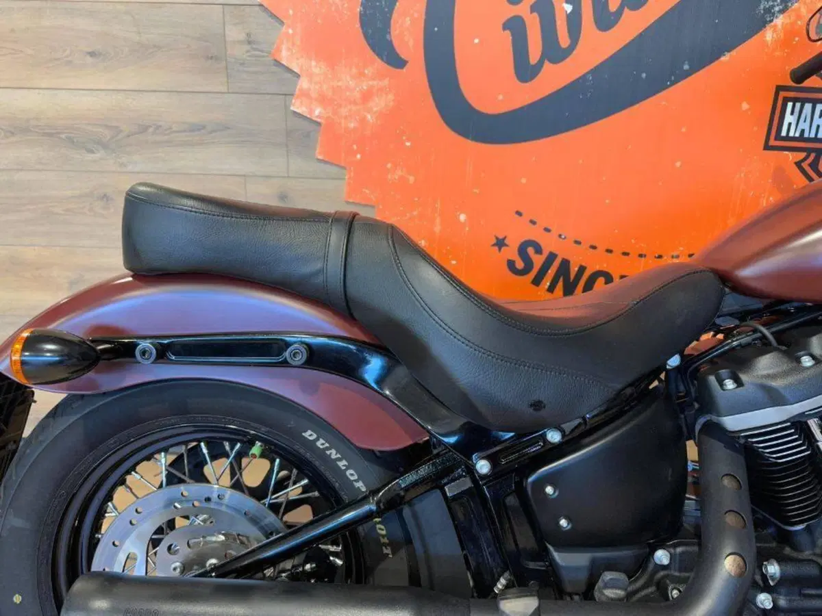 Harley-Davidson 107 Street Bob (2018 - 20) - FXBB (6)