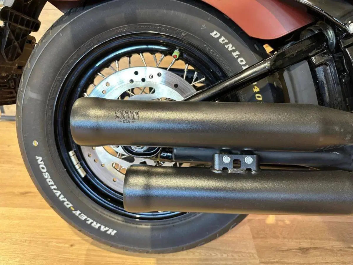 Harley-Davidson 107 Street Bob (2018 - 20) - FXBB (7)