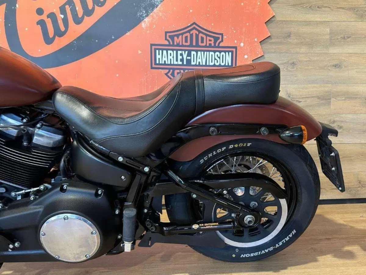 Harley-Davidson 107 Street Bob (2018 - 20) - FXBB (12)
