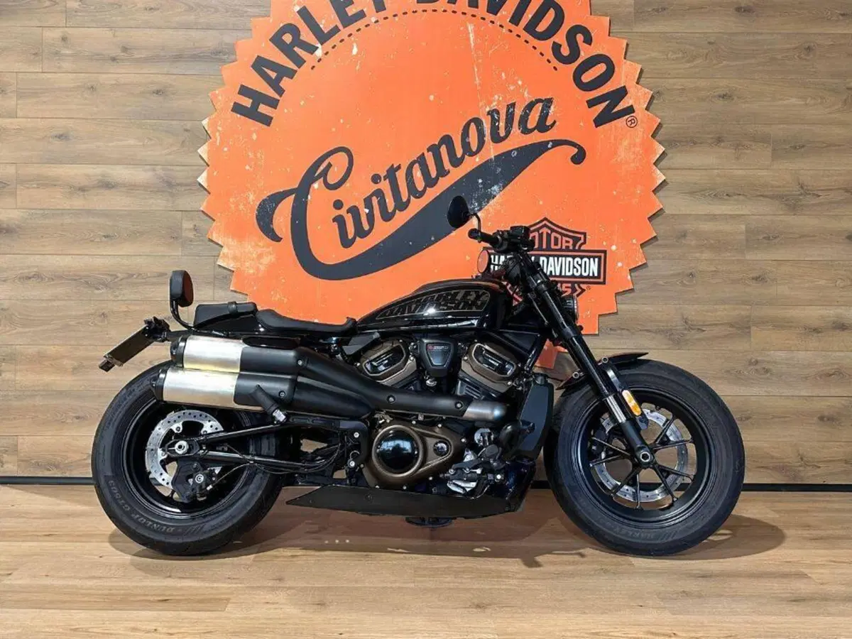 Harley-Davidson Sportster S (2022 - 24) (2)