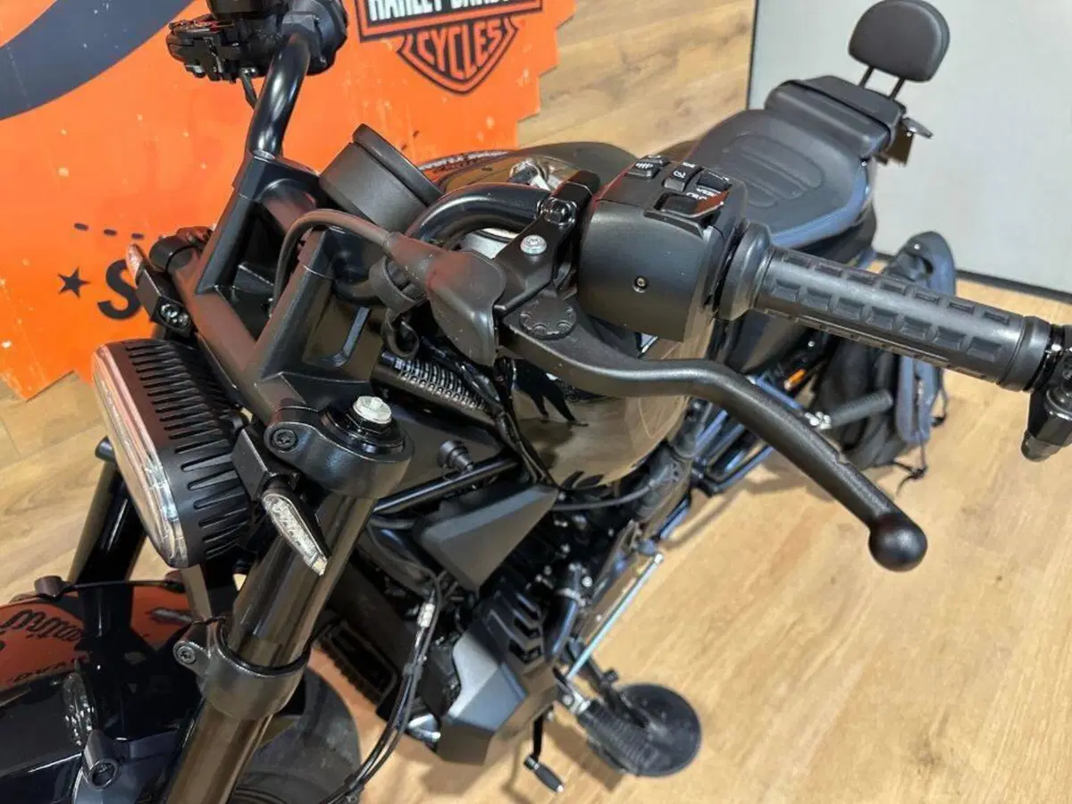 Harley-Davidson Sportster S (2022 - 24) (11)