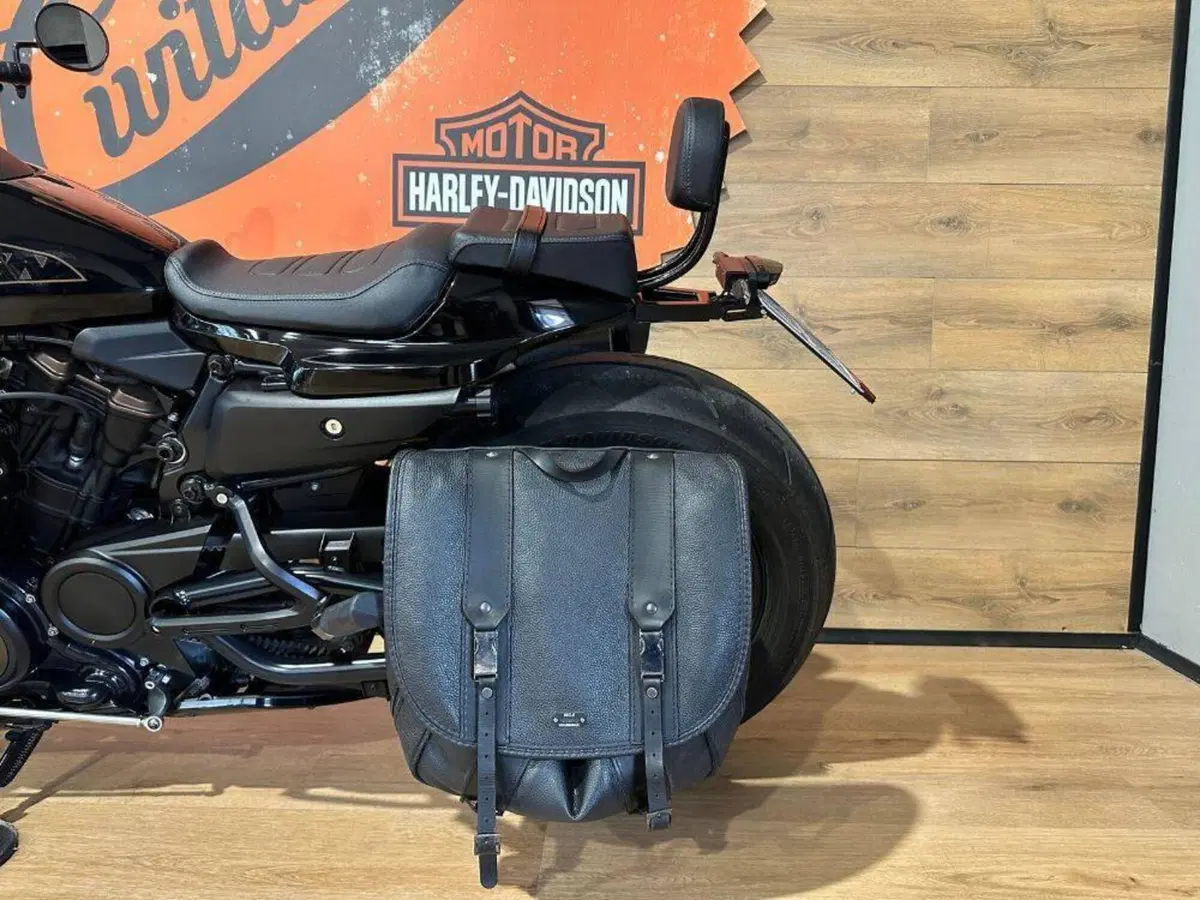 Harley-Davidson Sportster S (2022 - 24) (12)