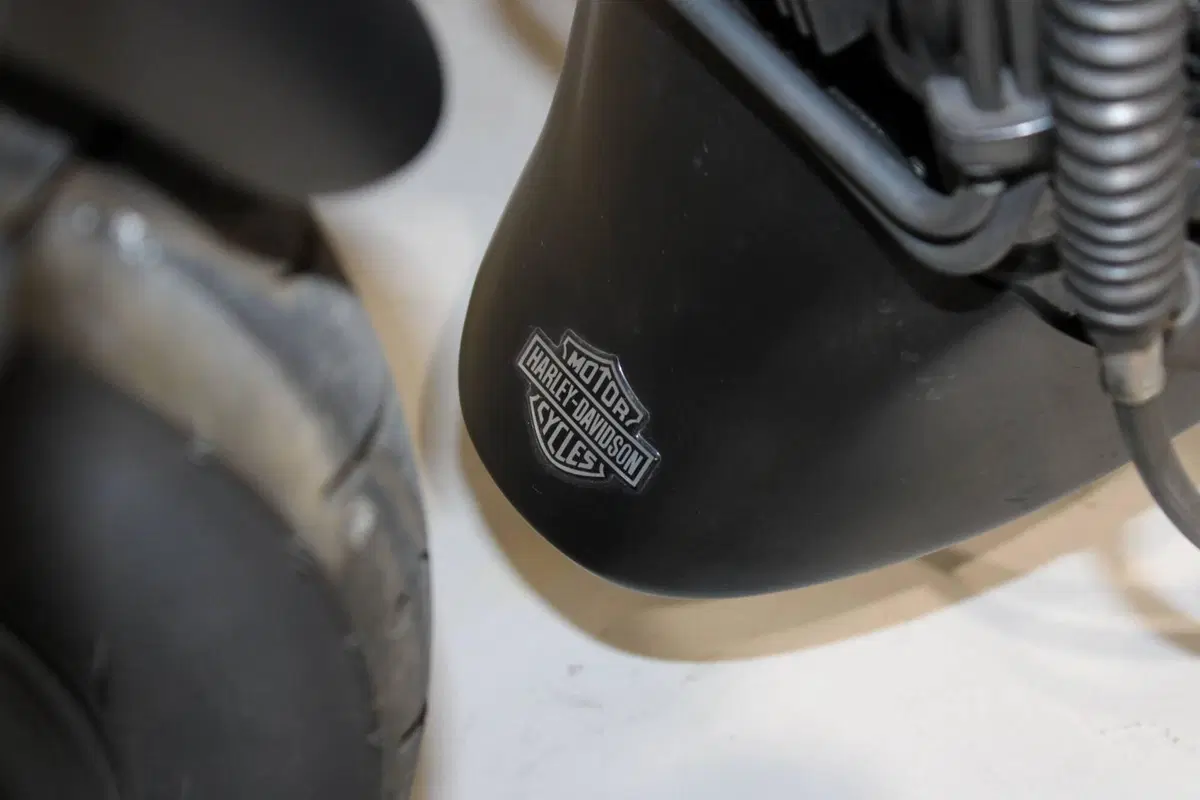 Harley-Davidson 883 Iron (2017 - 20) - XL 883N (9)