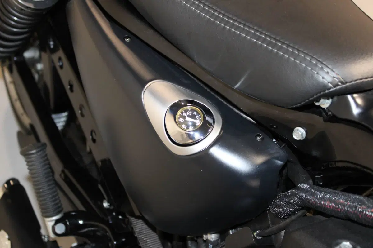 Harley-Davidson 883 Iron (2017 - 20) - XL 883N (10)