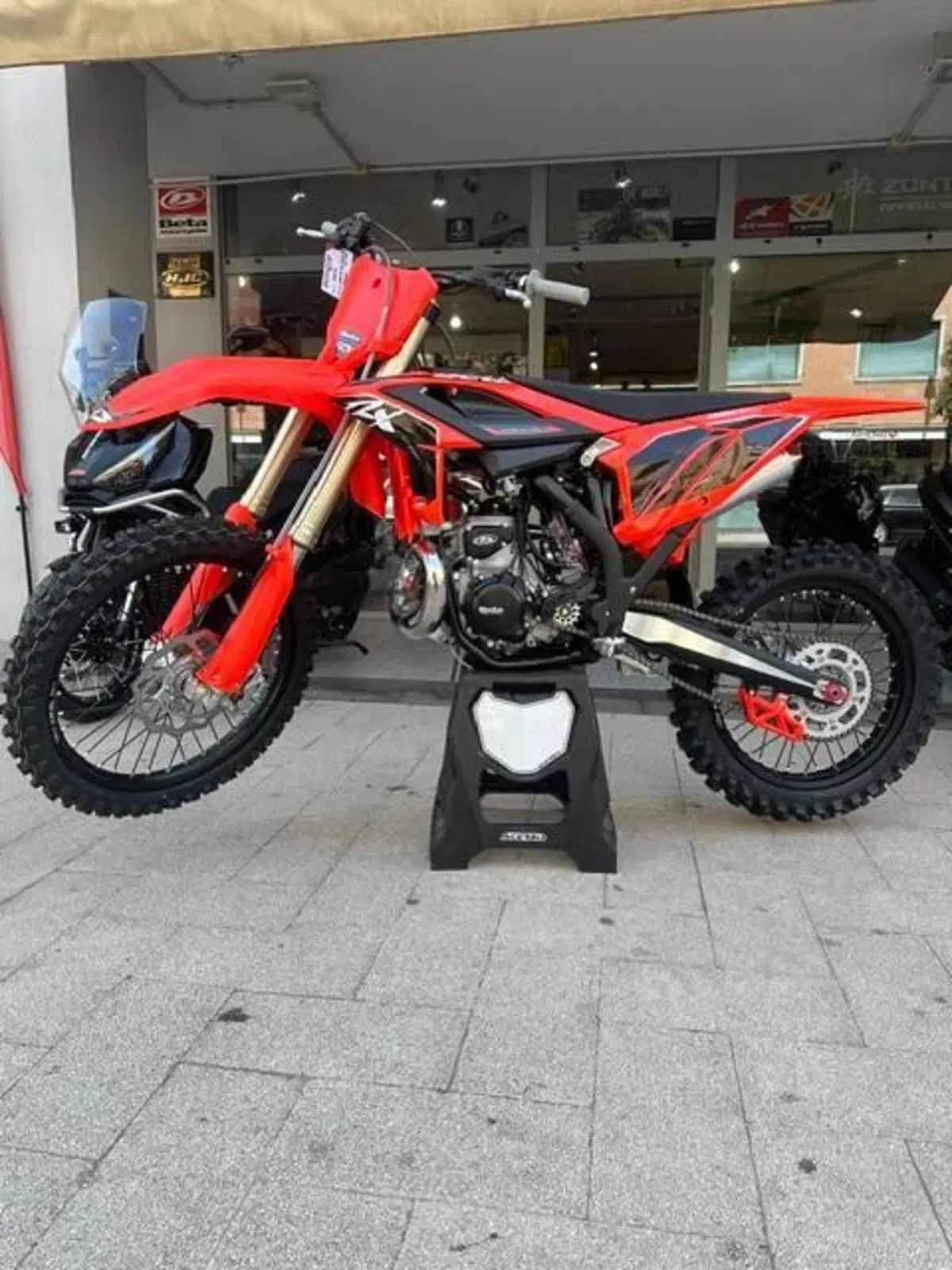 Betamotor RX 350 2T (2027) (2)